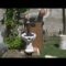 [ID: D29NH3-QPO8] Youtube Automatic