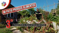 [ID: d7i8EEBeWAI] Youtube Automatic