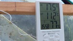 [ID: dAABQbNhW1s] Youtube Automatic