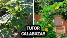 [ID: dKc2cy0yUkg] Youtube Automatic