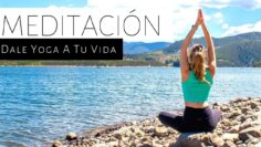 [ID: dLEOCIDtSHg] Youtube Automatic