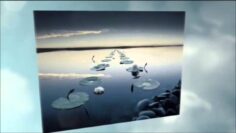 [ID: dPfKvcRcjB8] Youtube Automatic