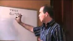 [ID: E-DA5nQNr78] Youtube Automatic