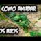 [ID: E5eJYwfUUp4] Youtube Automatic