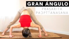 [ID: e88Sh8MBNI4] Youtube Automatic