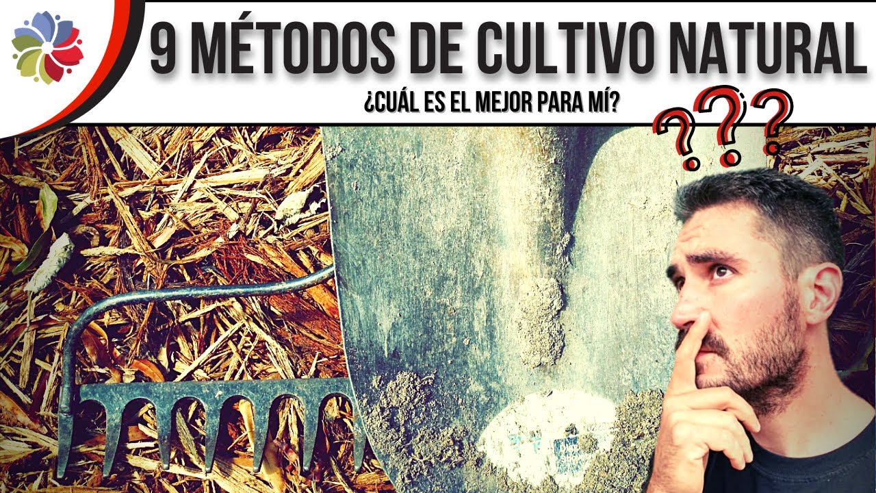Precargar imagen