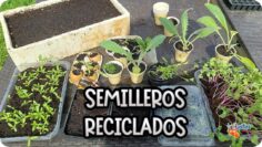 [ID: efj-9jIjf1M] Youtube Automatic