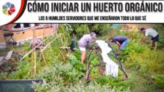 [ID: ENTba9DeDNo] Youtube Automatic