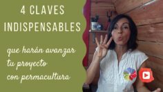 [ID: eOS9fnJDXoc] Youtube Automatic