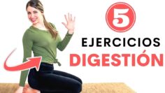 [ID: Et4Sv9-7lr8] Youtube Automatic