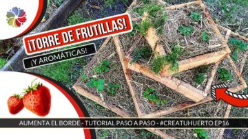 [ID: Ev1EBhkXTvw] Youtube Automatic