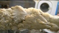 [ID: EZTiE185es0] Youtube Automatic