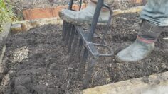 [ID: f5aKT4BE3Rw] Youtube Automatic