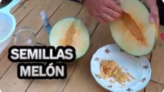 [ID: fGKcHVhzylQ] Youtube Automatic