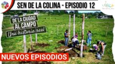 [ID: fkjd15N5Uq8] Youtube Automatic