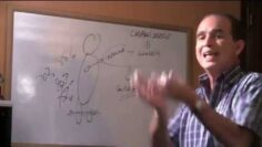 [ID: fpgR3mYwx_4] Youtube Automatic