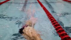 [ID: ftuHhYjQA9g] Youtube Automatic