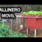 [ID: FWW_E8KB9Us] Youtube Automatic