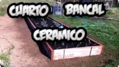 [ID: G6PFpmwR1R0] Youtube Automatic