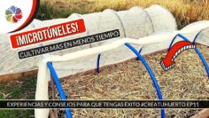 [ID: Gm0pJ2Y79T0] Youtube Automatic