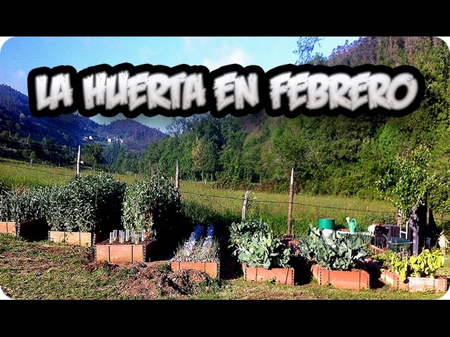 Precargar imagen