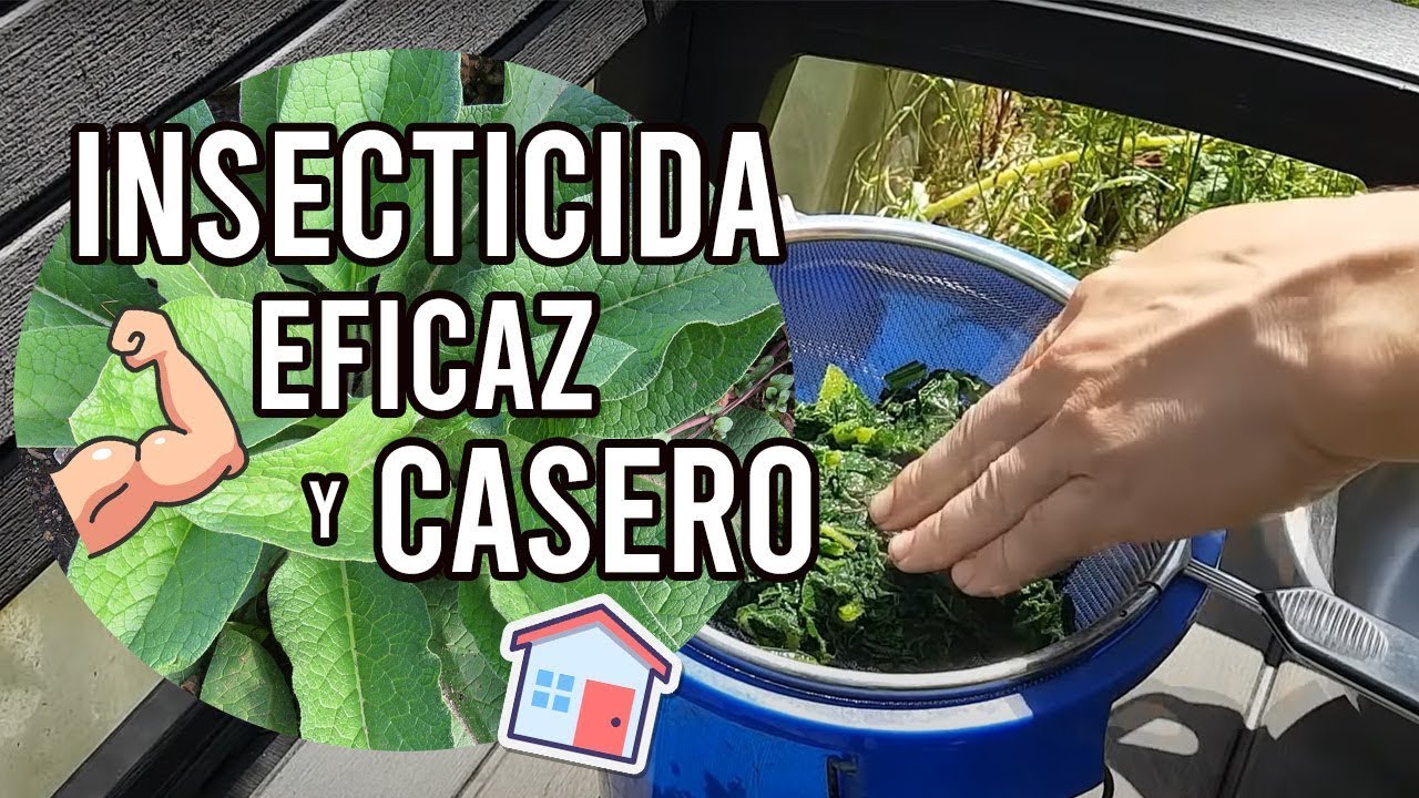 Precargar imagen