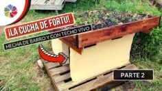 [ID: H4uXok7HpSQ] Youtube Automatic