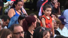 [ID: hepJs5Myuds] Youtube Automatic