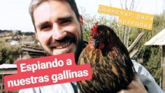 [ID: hF0hTprmQbk] Youtube Automatic