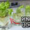 [ID: hKG2pEgZ4cg] Youtube Automatic