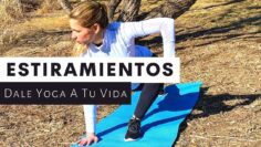 [ID: hlfLerfkrUs] Youtube Automatic