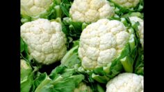 [ID: Hs_bgXchLX4] Youtube Automatic