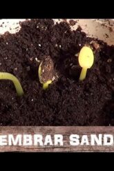 [ID: iD2Pr-JQtj8] Youtube Automatic