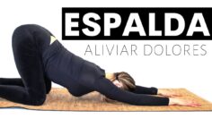 [ID: igFGkWeeBZI] Youtube Automatic