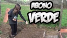 [ID: Ikn8l6YxsvY] Youtube Automatic