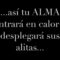 [ID: im6oTxwafn0] Youtube Automatic