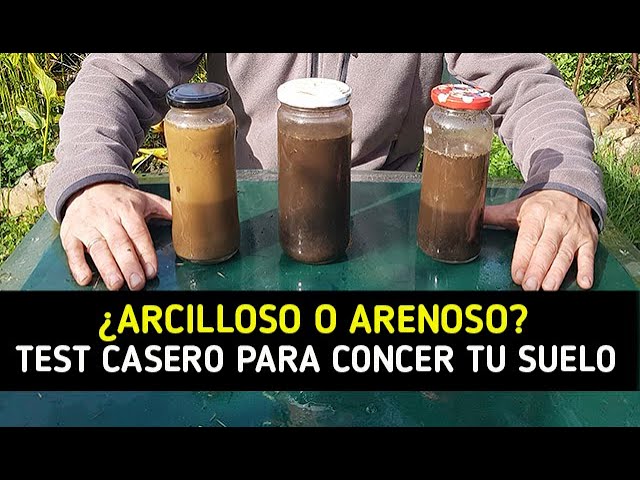 Precargar imagen