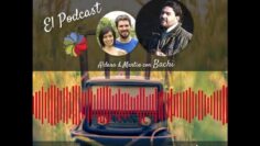 [ID: iT1c5kettRY] Youtube Automatic