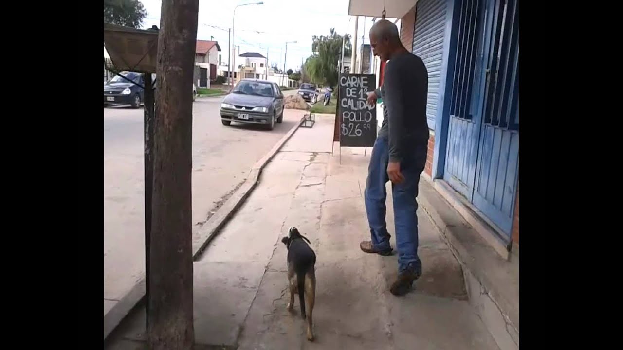 Precargar imagen