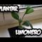 [ID: IvB8tnoyLxI] Youtube Automatic
