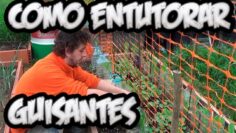 [ID: ixHhw-cygpw] Youtube Automatic