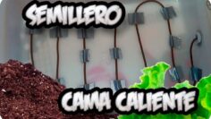 [ID: j1jFLDtzNUk] Youtube Automatic