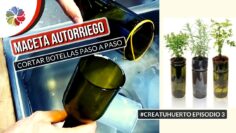 [ID: J7Sykkyedew] Youtube Automatic