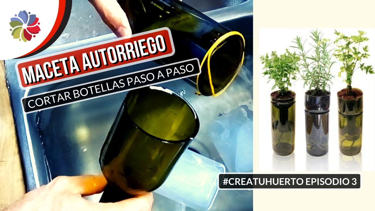 Precargar imagen