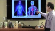 [ID: jADRx0Noa4s] Youtube Automatic