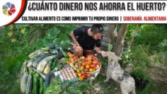 [ID: JeNom4RG_1w] Youtube Automatic