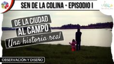 [ID: JJbP865J94Y] Youtube Automatic