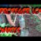 [ID: jKIDbaI__do] Youtube Automatic