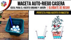 [ID: jQ2resIcV88] Youtube Automatic