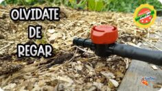 [ID: jrgyR1yWw7w] Youtube Automatic